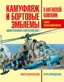 Виктор Марковский: Камуфляж и бортовые эмблемы авиатехники советских ВВС в афганской кампании