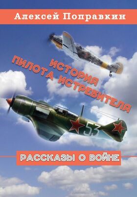 Алексей Поправкин История пилота истребителя (сборник)