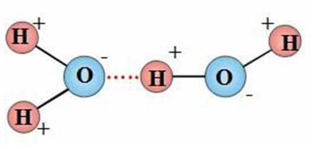 Рисунок 1 Образование водородной связи между молекулами воды Значительное - фото 2