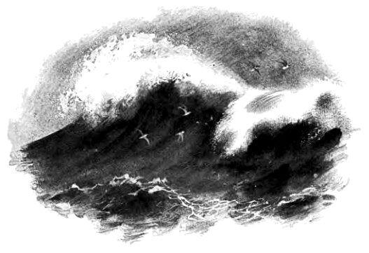 КАЧУРКА В бурю волны поднимаются выше корабля Думаешь вотвот волна накроет - фото 8