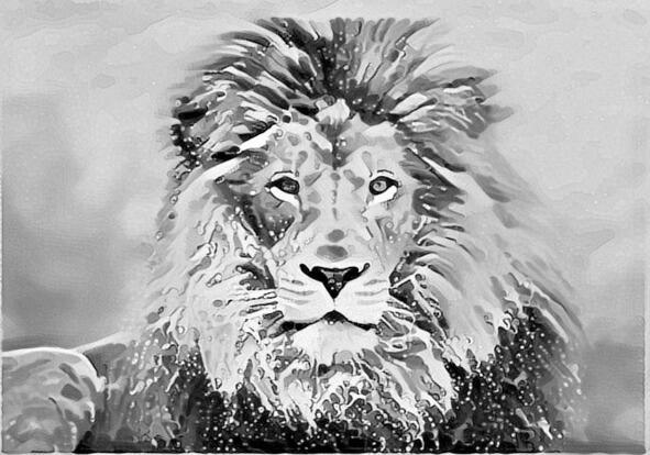 В приёмной царя зверей Льва наблюдалась суматоха и неразбериха Звери толпились - фото 2