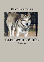 Ольга Карагодина: Cеребряный пёс. Повесть