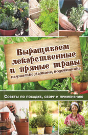 Наталья Костина-Кассанелли: Выращиваем лекарственные и пряные травы на участке, балконе, подоконнике. Советы по посадке, сбору и применению