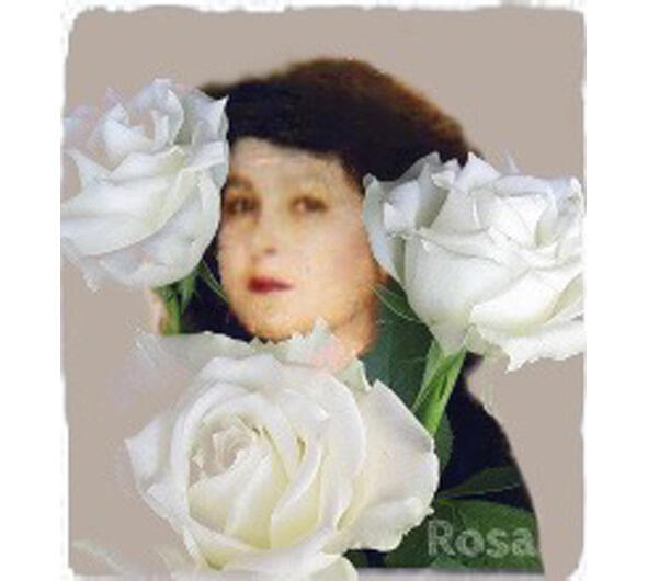 По срокам роза не веснянка Она умеет выжидать И очарует вас осанкой И - фото 24