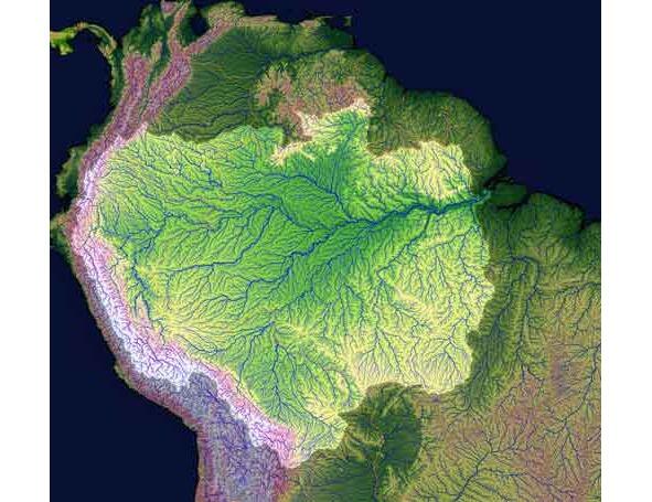 Влажные тропические джунгли Амазонки легкие планеты рекордсмен по - фото 26