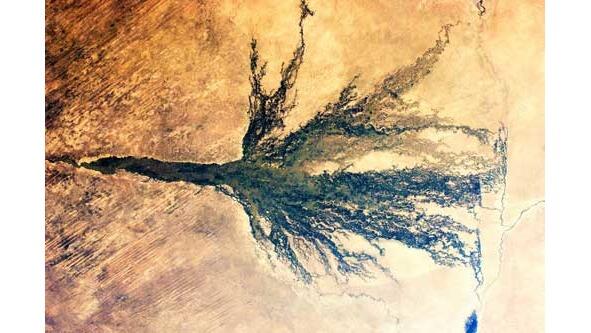 Окаванго болото в пустыне Калахари Воды реки Окаванго создали феномен - фото 28