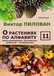 Виктор Пилован: О растениях по алфавиту. Книга одиннадцатая. Растения на К (клиантус – колокольчик)