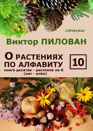 Виктор Пилован: О растениях по алфавиту. Книга десятая. Растения на К (кат – клён)
