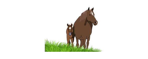 a mare and a foal кобыла и жеребёнок Английская колыбельная Lullaby All - фото 2