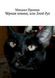 Михаил Пронин: Чёрная кошка, или Злой дух