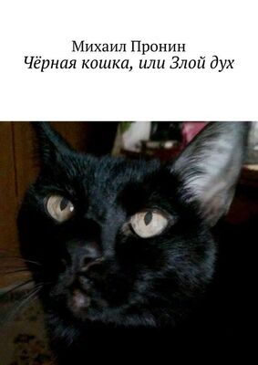 Михаил Пронин Чёрная кошка, или Злой дух