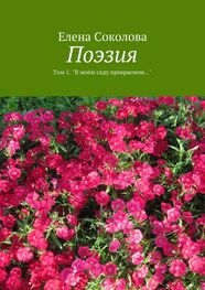 Елена Соколова: Поэзия. Том 1. &quot;В моём саду прекрасном…&quot;