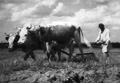 История ожившая в кадре Белорусская кинолетопись испытание временем Книга 1 19271953 - фото 47