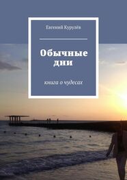 Евгений Курулёв: Обычные дни. книга о чудесах