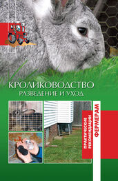 А. Шабанов: Кролики. Разведение и уход