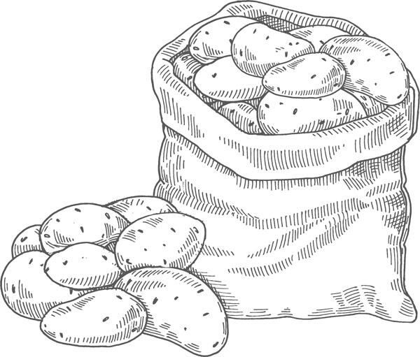 Ответы на самые популярные вопросы о картофеле Можно ли вырастить картофель - фото 1