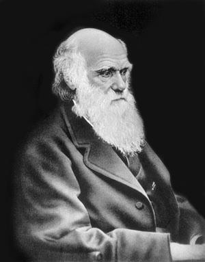 Ч Дарвин В научном творчестве Геккеля ведущее место занимала идея которая - фото 3