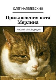 Олег Магелевский: Приключения кота Мерлина. Миссия «Ликвидация»