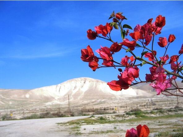 Пустыня Иудейская Фото автора Здесь ветер горячий витает весь день - фото 13