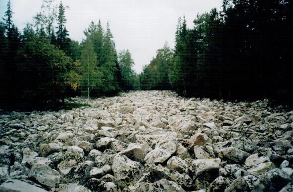 Каменная река Речь идёт о каменных реках курумах скопление крупных - фото 6
