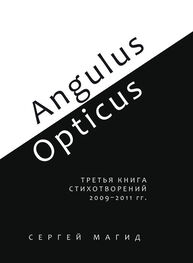 Сергей Магид: Angulus / Opticus. Третья книга стихотворений. 2009–2011 гг.