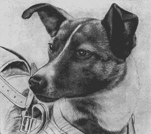 Рис 83Первый путешественник в космическом пространстве собака Лайка - фото 124