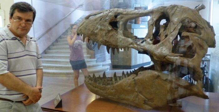 Тираннозавр может перекусить крупного мужчину пополам Смитсоновский музей - фото 54