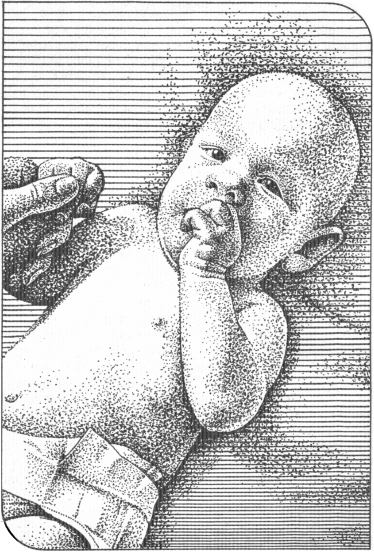 Глава вторая Беременность Как растет ваш младенец Зачатие чаще всего - фото 2