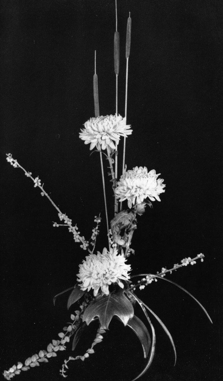 Осенняя композиция из трех хризантем веточек облепихи Hippophae rhamnoides и - фото 77