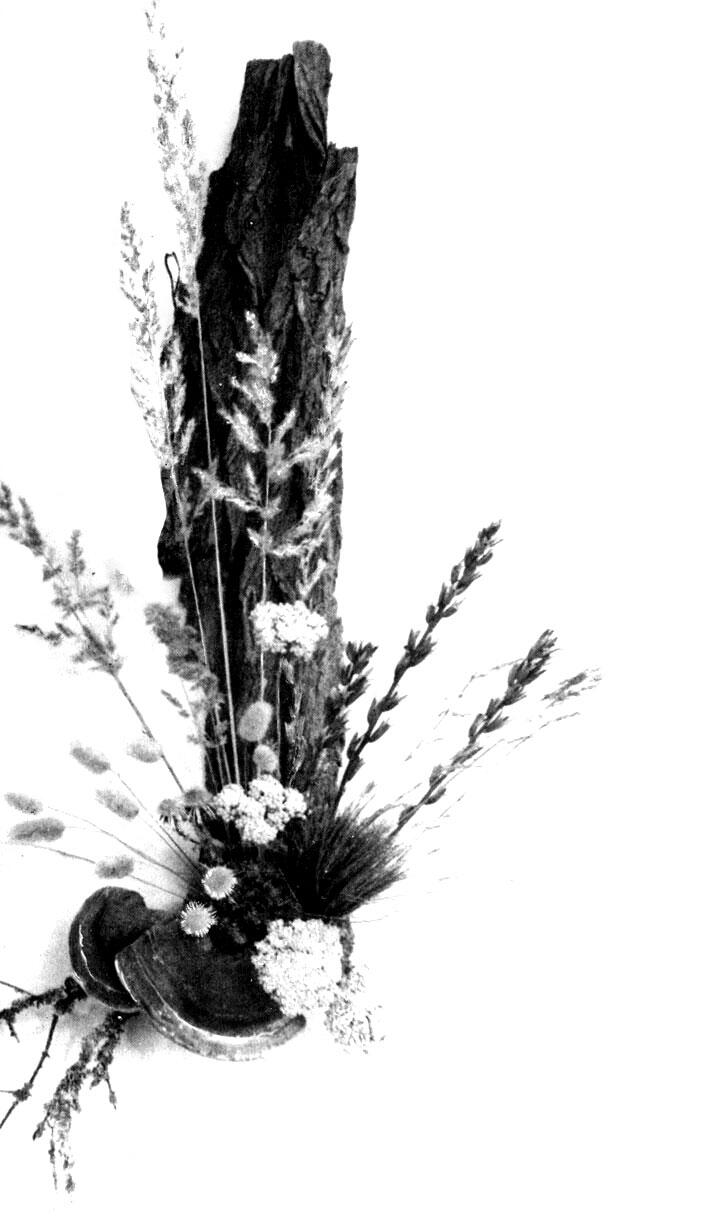 Настенное украшение из стойких злаков веток с плодами кусков лишайника и - фото 87