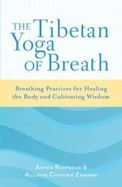 Anyen Rinpoche: The Tibetan Yoga Of Breath