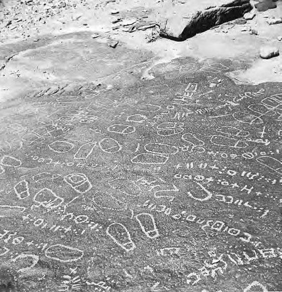 Фот 3 Ахаггар наскальные надписи на языке тамашек Алжир Вторым - фото 3