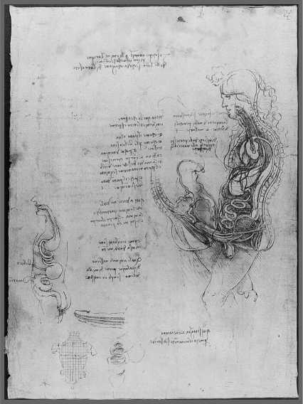 Рис 5 Соитие Рисунок из дневников Леонардо да Винчи 14751518 гг В - фото 13