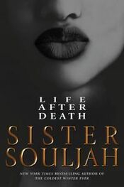 Sister Souljah: Life After Death