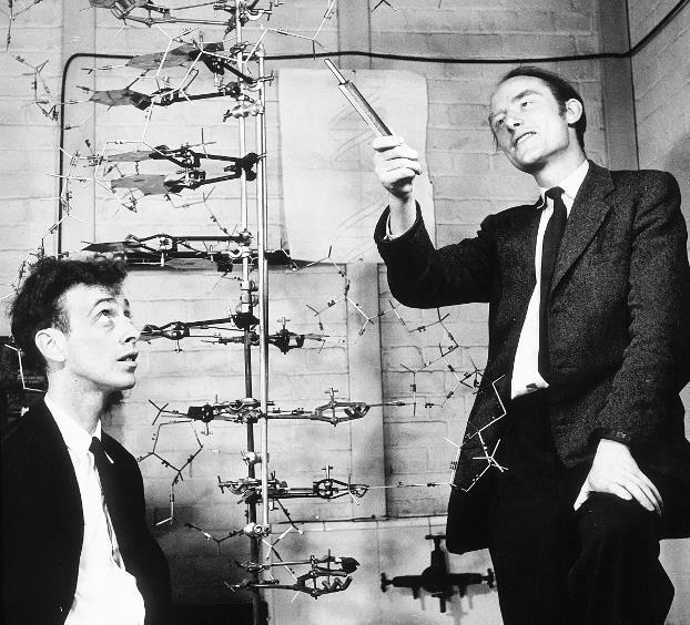 Лауреаты Нобелевской премии Джеймс Уотсон слева и Фрэнсис Крик справа - фото 19
