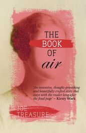 Joe Treasure: The Book of Air