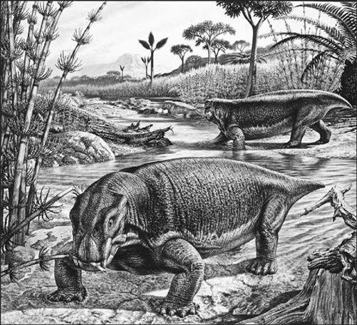 Lystrosaurus was one of the few land animals to survive the Permian mass - фото 5