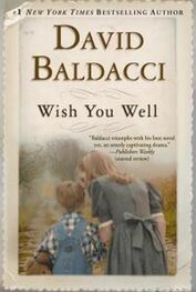 Дэвид Балдаччи: Wish You Well