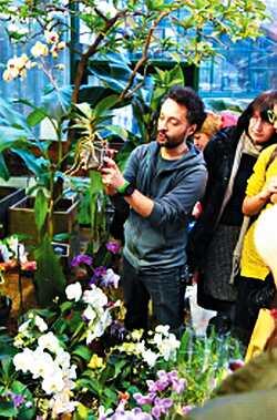В оранжерее Аптекарского огорода Орхидеи растут не только в тропиках - фото 3