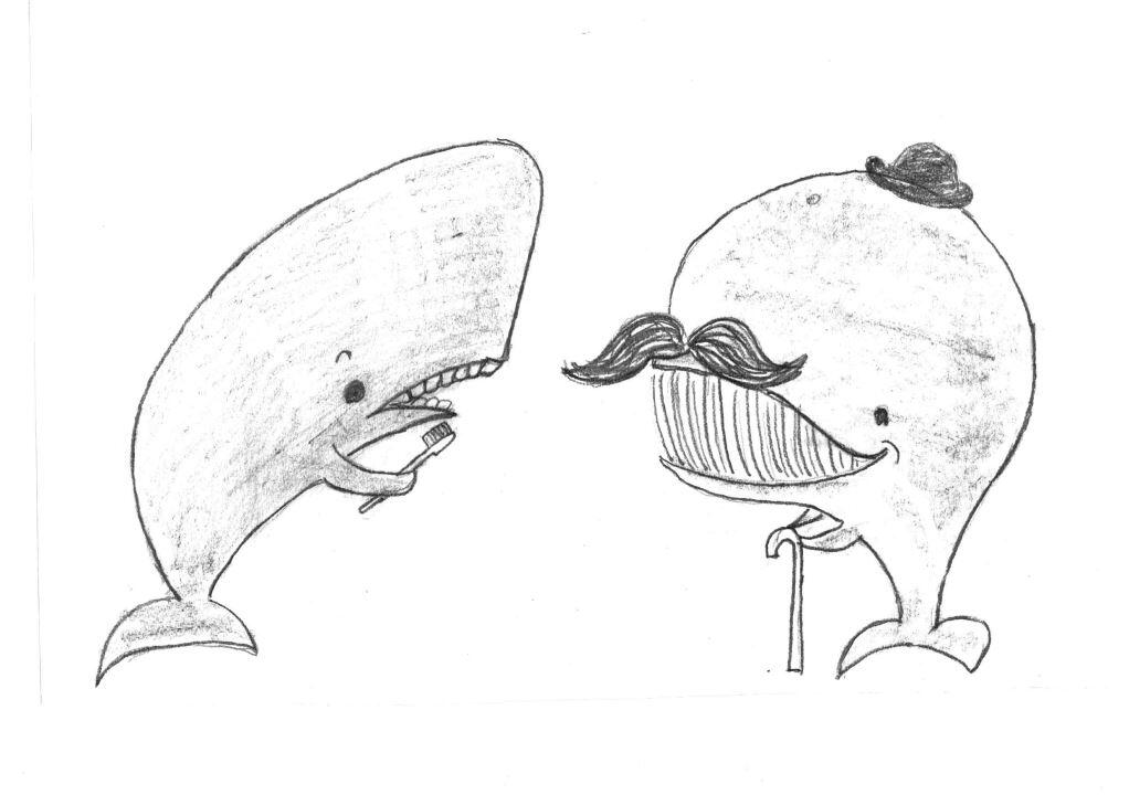 Киты встречаются беззубые и зубатые Беззубым китам зубы никогда и не были - фото 4