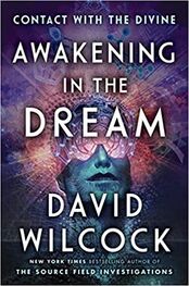 Дэвид Уилкок: Пробуждение во сне. Контакт с Божественным