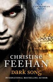 Feehan Christine: Dark Song