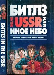 Юлий Буркин: «Битлз» in the USSR, или Иное небо