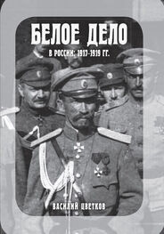 Василий Цветков: Белое дело в России, 1917–1919 гг.