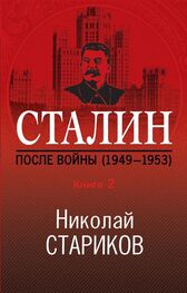 Николай Стариков: Сталин. После войны. Книга 2. 1949–1953