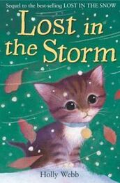 Холли Вебб: Lost In The Storm