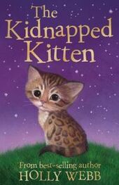 Холли Вебб: The Kidnapped Kitten