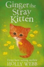 Холли Вебб: Ginger The Stray Kitten