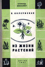 Вера Корсунская: Из жизни растений