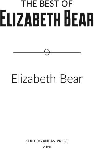 Introduction Elizabeth Bear is myfriend I knew her when we were deep into - фото 1